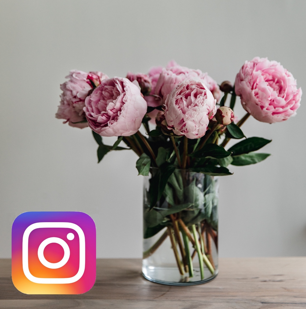 Visite a nossa página no Instagram - Visit our Instagram page - Florista da Guia - Cascais